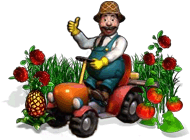 Gry Super Farmer